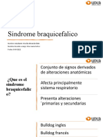 Sindrome Braqui PPT Clinica Menor