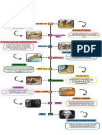 Infografia Línea Del Tiempo Historia Timeline Completa