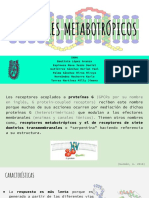 Receptores Metabotrópicos