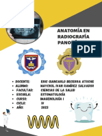 Anatomía en Radiografía Panorámica