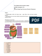 Smanba - LKPD SISTEM PENCERNAAN