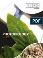 PhotoBiology Guide (Fluene)