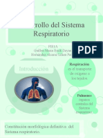 FIE1A Sistema Respiratorio