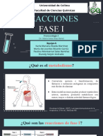 Metabolismo fármacos