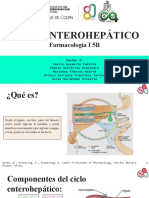 Ciclo enterohepático farmacología