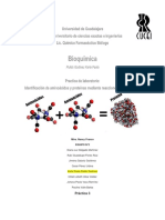 Reporte Practica Identificación de Aminoácidos