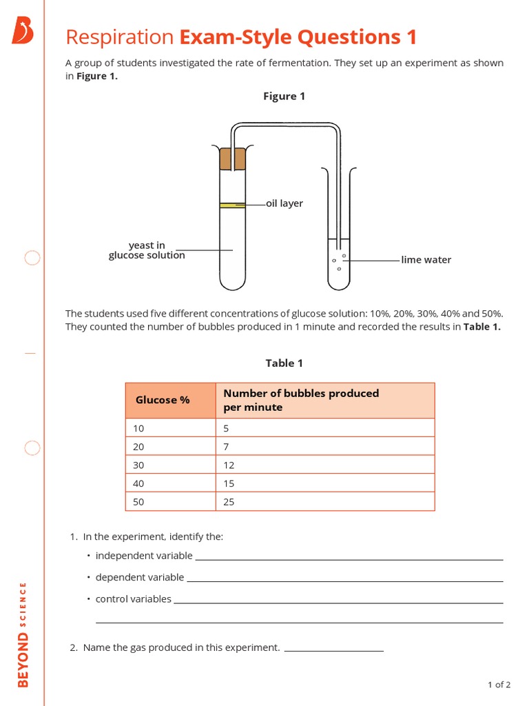 Respiration Experiment Questions | PDF | Wellness | Science & Mathematics