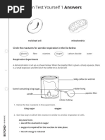 S8 - End-of-Unit 1 Test | PDF | Respiratory System | Lung