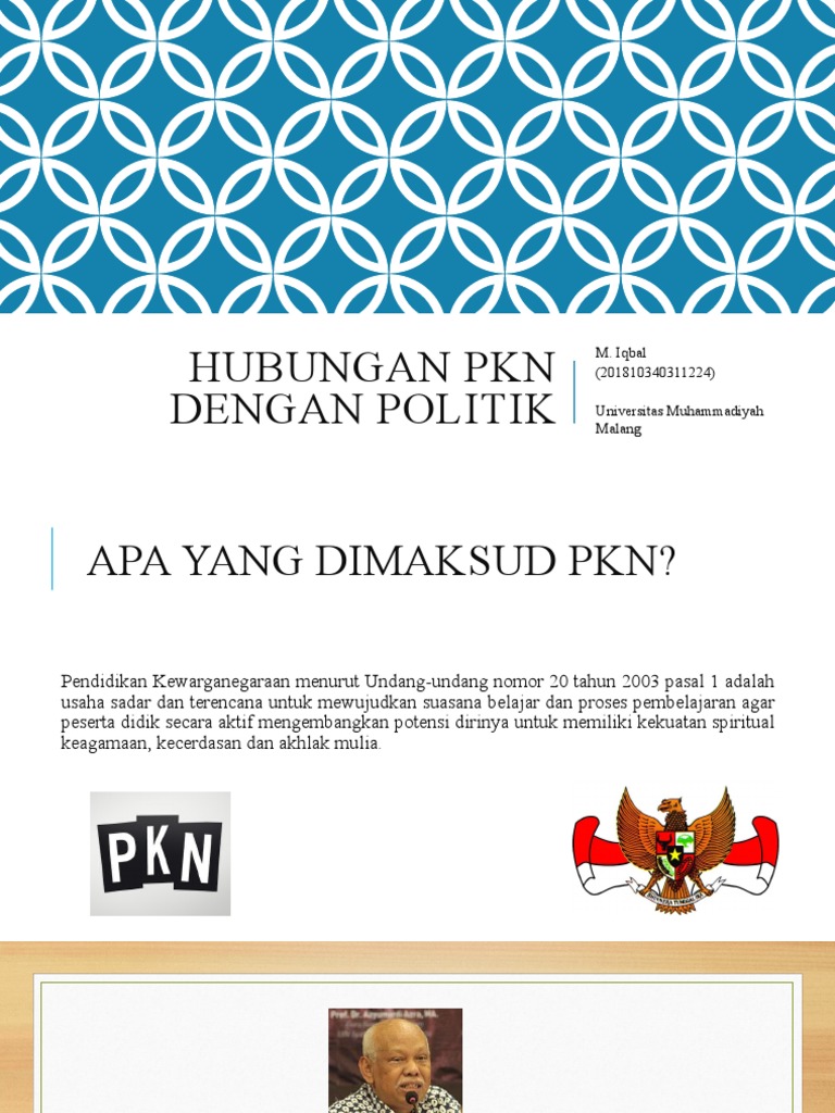 Hubungan PKN Dengan Politik | PDF