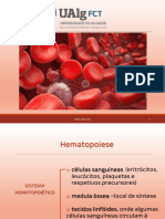 1T. Hematopoiese 20-21
