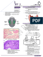 Parathyroid Gland