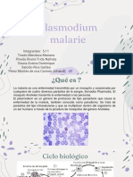 Plasmodium Malarie 5-11 PDF of
