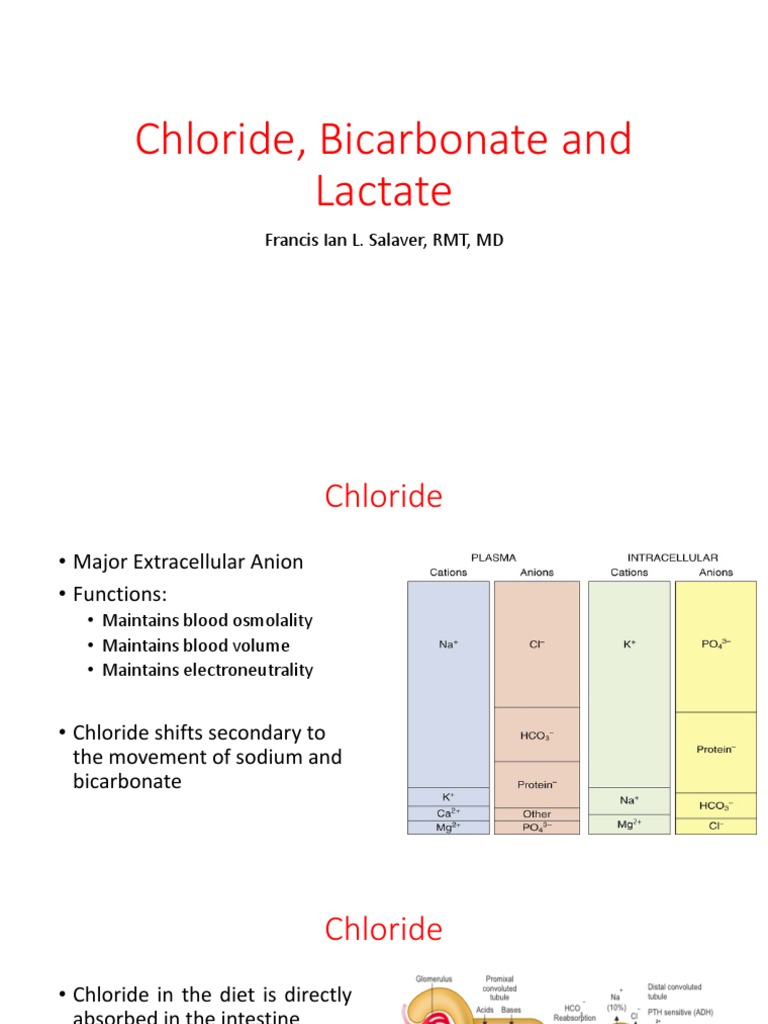 Chloride, Bicarbonate and Lactate PDF Bicarbonate Lactic Acid