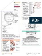 Anatomy of The Eye - Dr. Lim-Cecilio (2022)