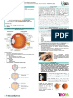 (OPTHA) Lec 5 - Retina