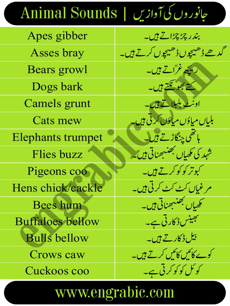 Animal Sounds Overview | PDF