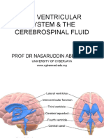 The Ventricular System & The Cerebrospinal Fluid (Physiotherapy)