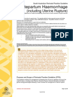 Antepartum+Haemorrhage+ (incl+Uterine+Rupture) PPG v7 0