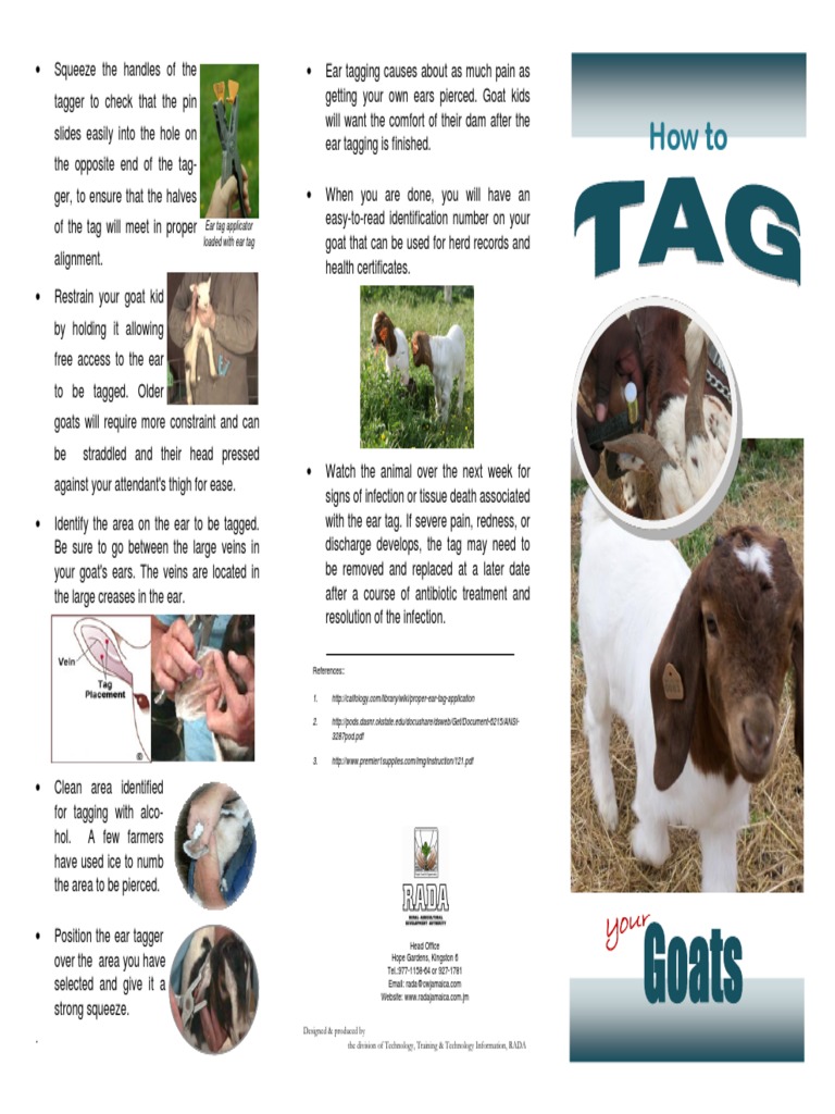 How To Tag Your Goats Final Brochure PDF Radio Frequency