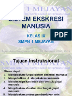 Sistem Ekskresi MANUSIA