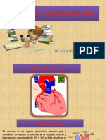 Sistema Cardiovascular