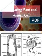 Comparing Plant and Animal Cell