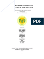 Download Lap Prakt Farmakognosi II - Kelompok I by Kamal Amiruddin SN62340551 doc pdf