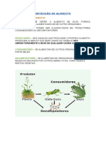 3 - Obtenção de Alimento