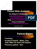 Patent Risk Analysis