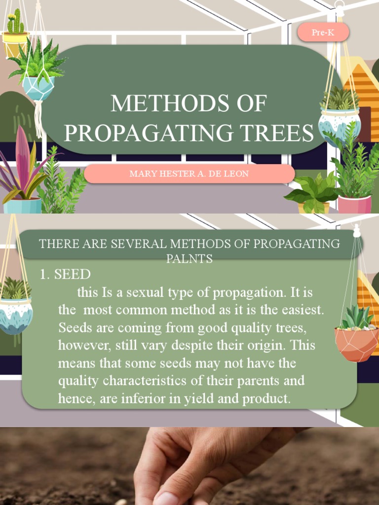 Methods of Plant Propagation PDF Grafting Pest