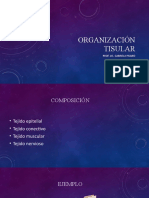 Organización Tisular