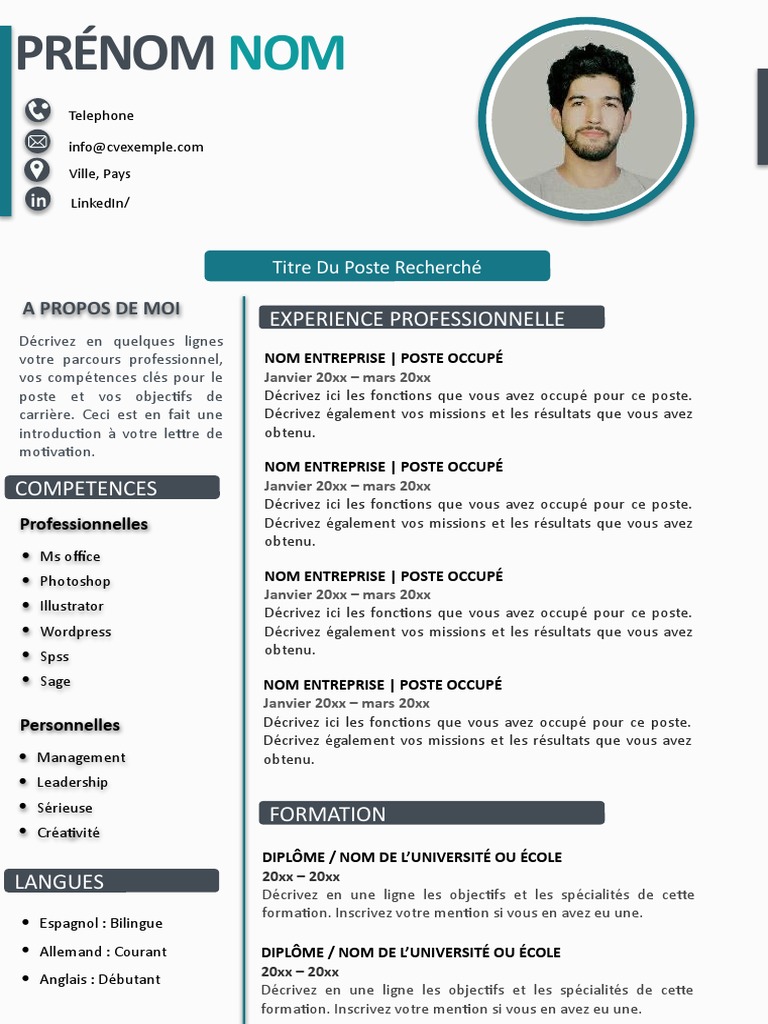 CV Professionnel et Compétences Clés | PDF | Évolution de carrière