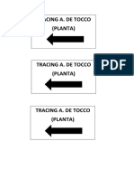 Tracing A. de Tocco (Planta)