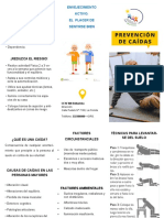 Triptico Prevención de Caidas PDF