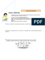 Plantas, hongos y reproducción: órganos, procesos y clasificación