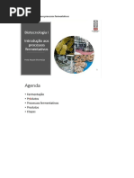 AULA 2 - Introdução Aos Processos Fermentativos