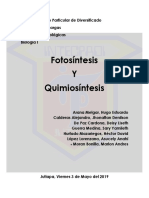 Fotosintesis y Quimiosintesis