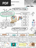 Conceptos Básicos de Morfología.