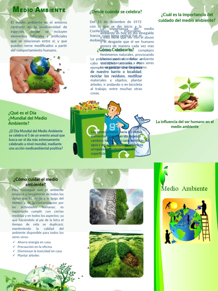Triptico Del Medio Ambiente 3 | Descargar gratis PDF | Entorno natural ...