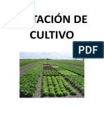 Rotación de Cultivo