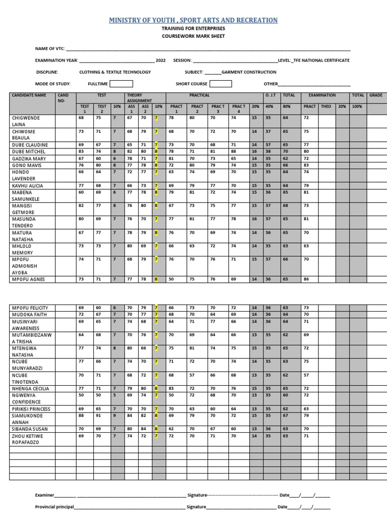 Tfe Marksheet Garment Construction PDF