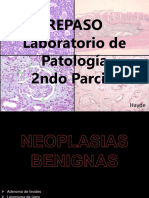 Repaso Patología