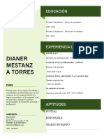 Dianer CV