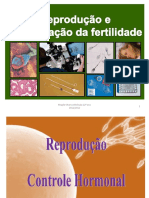 Regulação Hormonal no Homem e Fecundação Biologia 12o