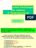 Enterobactérie Final