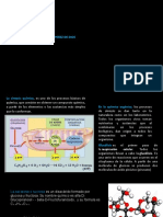 Polimeros (Autoguardado)