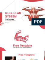 Muscular System Template