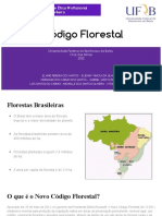 Novo Código Florestal (2)