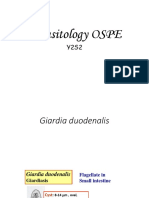 Parasitology Ospe