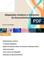 Aula - Adaptações Celulares e Distúrbios Do Desenvolvimento-1